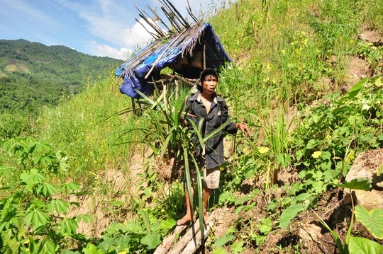 Ngày 7/8/2013, lực lượng chức năng huyện Tây Trà (Quảng Ngãi) đã đưa hai cha con ông Hồ Văn Thanh (84 tuổi) và Hồ Văn Lang (44 tuổi) sống biệt lập trong rừng sâu với thế giới bên ngoài sau 40 năm trở về hòa nhập cuộc sống cộng đồng. Sau 2 năm trở về từ rừng sâu, anh Hồ Văn Lang vẫn nhanh nhẹn, thoăn thoắt như một con sóc.