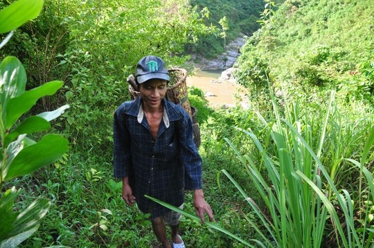 Từ khi trở về, hai cha con “người rừng” sống chung với gia đình ông Hồ Văn Tri (em ruột ông Hồ Văn Lang). Dù hòa nhập khá nhanh với cuộc sống cộng đồng nhưng Hồ Văn Lang vẫn giữ những nét nhanh nhẹn của người gắn bó với núi rừng sau hàng chục năm.