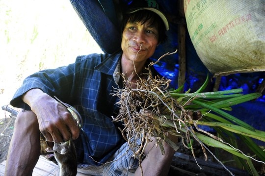 Mot ngay cung 'nguoi rung' len nui hinh anh