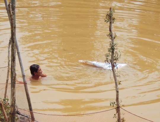 Lan lien tuc 3 ngay de tim hai cot vo hinh anh