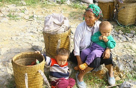 Theo GS-TS Nguyễn Đình Cử, hiện nay ở vùng nông thôn, miền núi mức sinh cũng giảm.