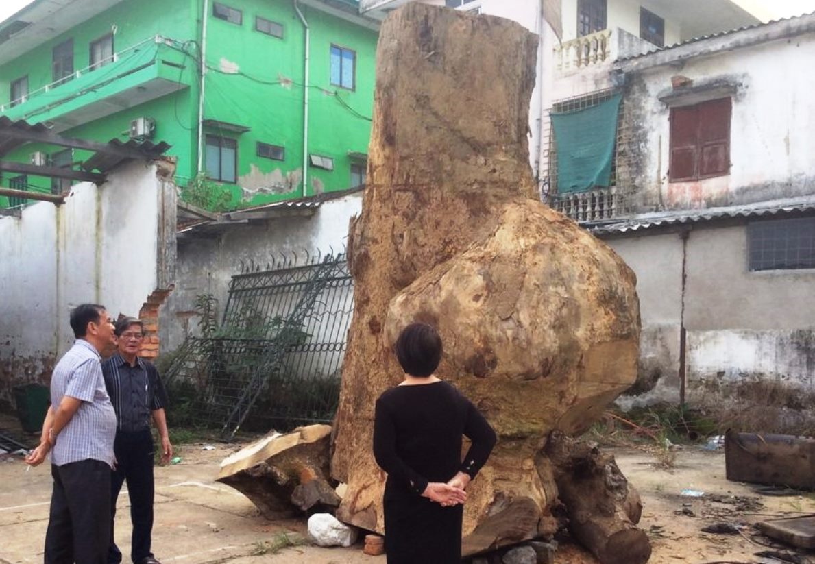 Chia sẻ về ý tưởng của mình, anh Huy cho biết, vốn mến mộ Nguyễn Du đã lâu nhưng chưa có cơ hội thể hiện. Cách đây ít năm, anh tình cờ phát hiện gốc gỗ gù hương lớn của một hộ dân trên địa bàn huyện miền núi Nghệ An nên quyết tâm mua về. Sau thời gian dài suy nghĩ, lên ý tưởng, anh thuê các nghệ nhân tạc một pho tượng chân dung cụ Nguyễn Du giống với bản tượng đang hiện có tại khu di tích Nguyễn Du (Nghi Xuân, Hà Tĩnh) bằng chính khúc gỗ này.