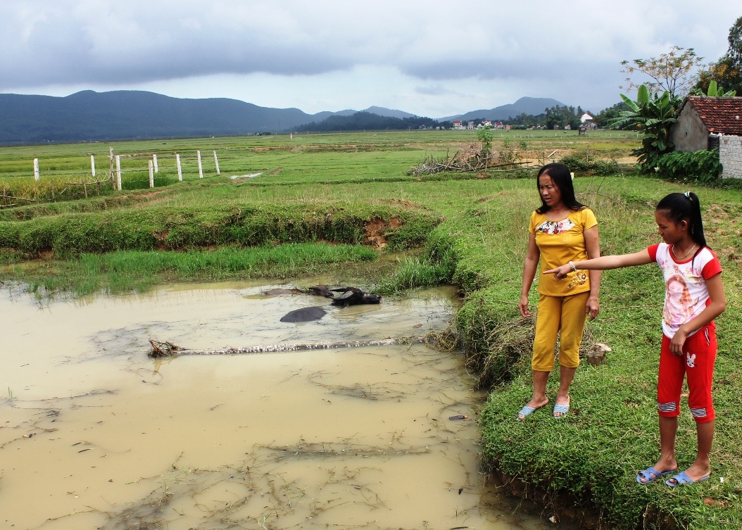 Vân Anh bên ao nước mà em cứu được hai em nhỏ. Ảnh: Phạm Hòa.