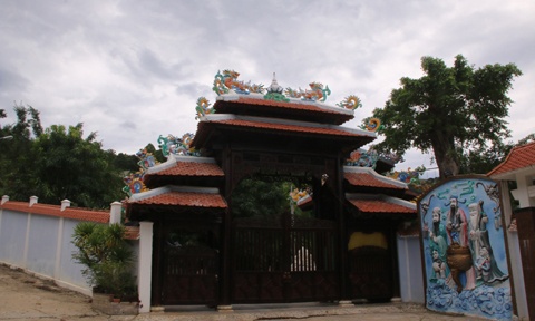 Thanh tra Chinh phu dua huong xu ly 'biet phu' dai gia vang hinh anh