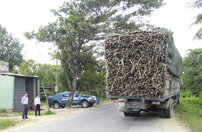 Giam doc so giao thong van tai di 'bat' xe qua tai hinh anh