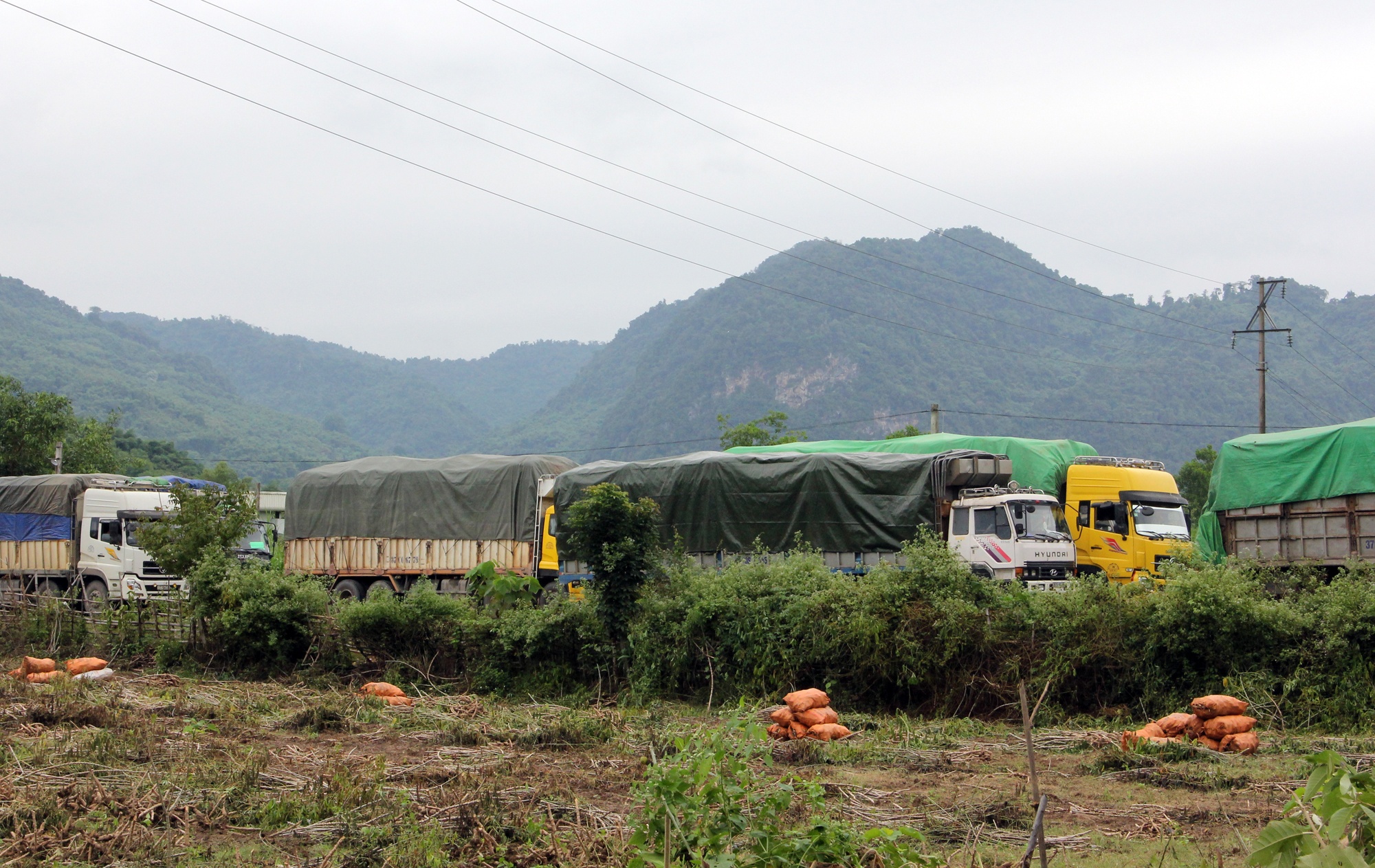 Chieu ne tram can cua doan xe qua tai vao Viet Nam hinh anh