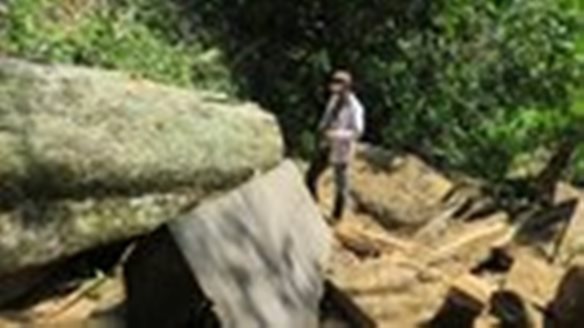 Tay nguyen mat gan 34.000 ha rung/nam hinh anh