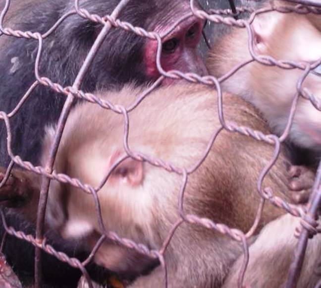 Chup anh giet khi dang Facebook chi de... khoe hinh anh