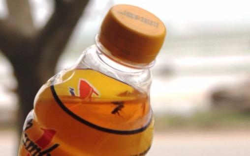 Ban giao chai Number One co di vat cho Tan Hiep Phat hinh anh