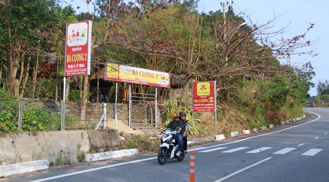 Sau tuyen bo cua Bi thu Da Nang, dat rung Son Tra nong them hinh anh