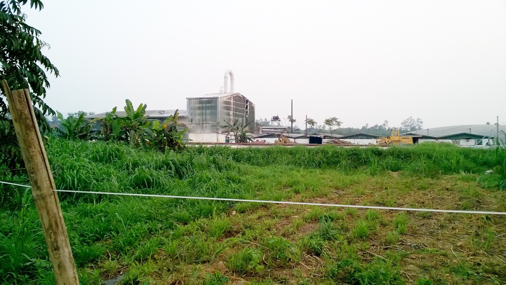 Nổ lớn tại nhà máy tinh bột sắn ảnh 2 No lon tai nha may tinh bot san anh 2