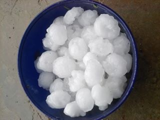 Mua da to bang qua trung ga o Nghe An hinh anh