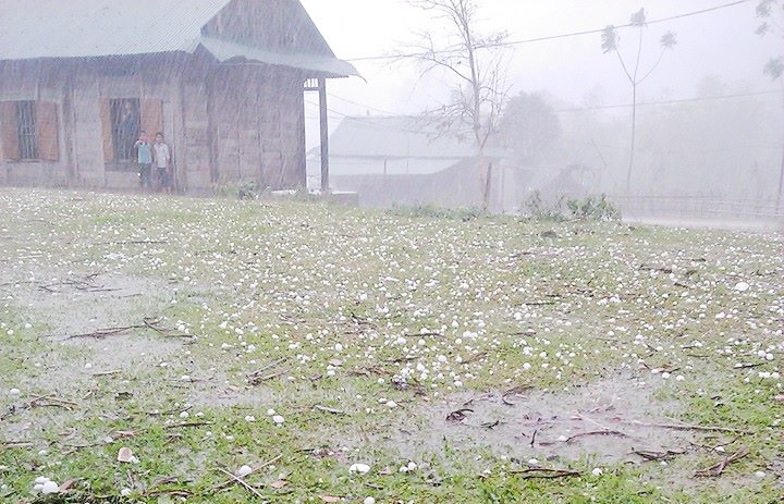 5 nguoi bi thuong, hang tram nha toc mai sau mua da hinh anh
