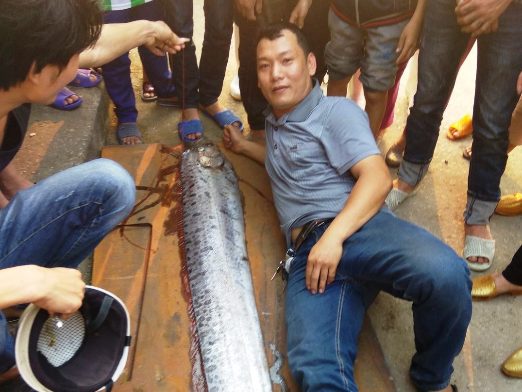 Bat duoc ca mai cheo dai gan 4 m hinh anh