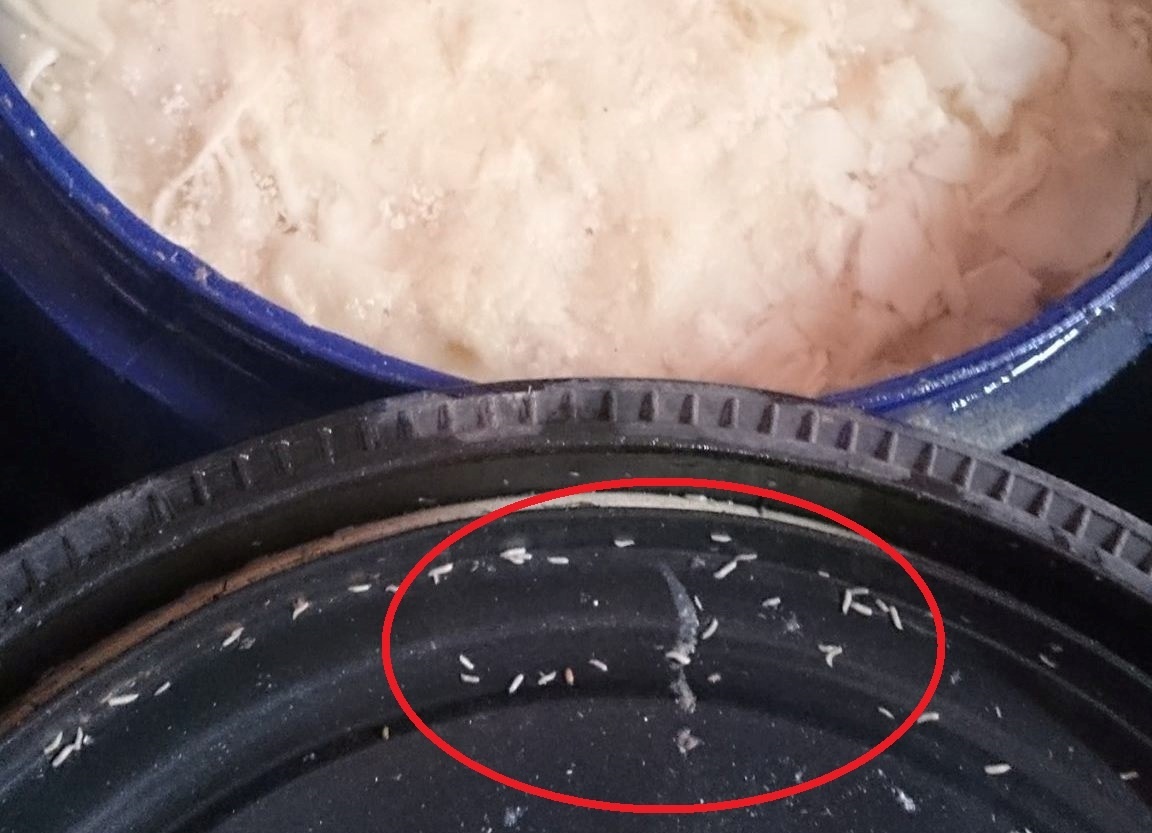 Hon 5 tan mang co gioi, boc mui hoi thoi hinh anh