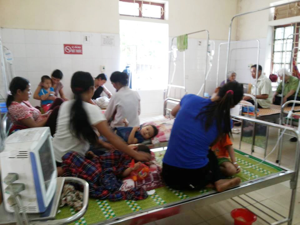 Cô giáo và học sinh bị ong đốt ảnh 1 Co giao va hoc sinh bi ong dot anh 1