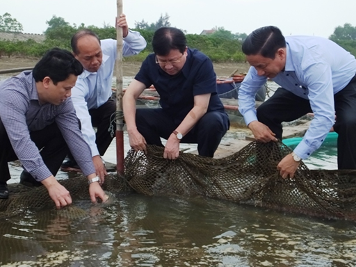 Co the thue nuoc ngoai tim nguyen nhan ca chet hinh anh