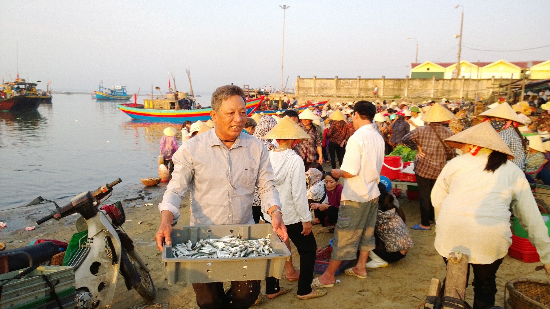 Cá biển Hà Tĩnh an toàn ảnh 9 Ca bien Ha Tinh an toan anh 9