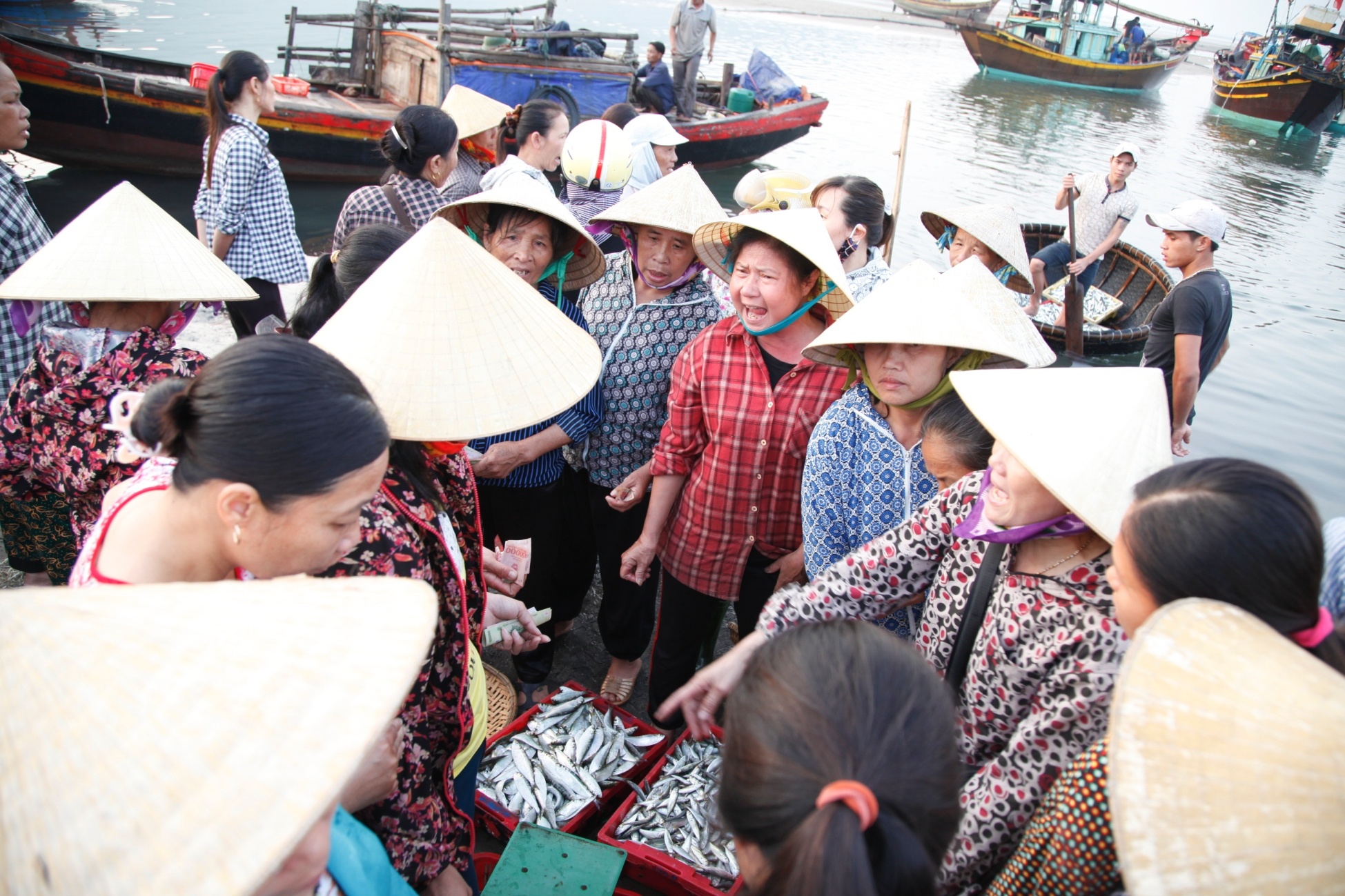 Ca bien Ha Tinh an toan anh 2