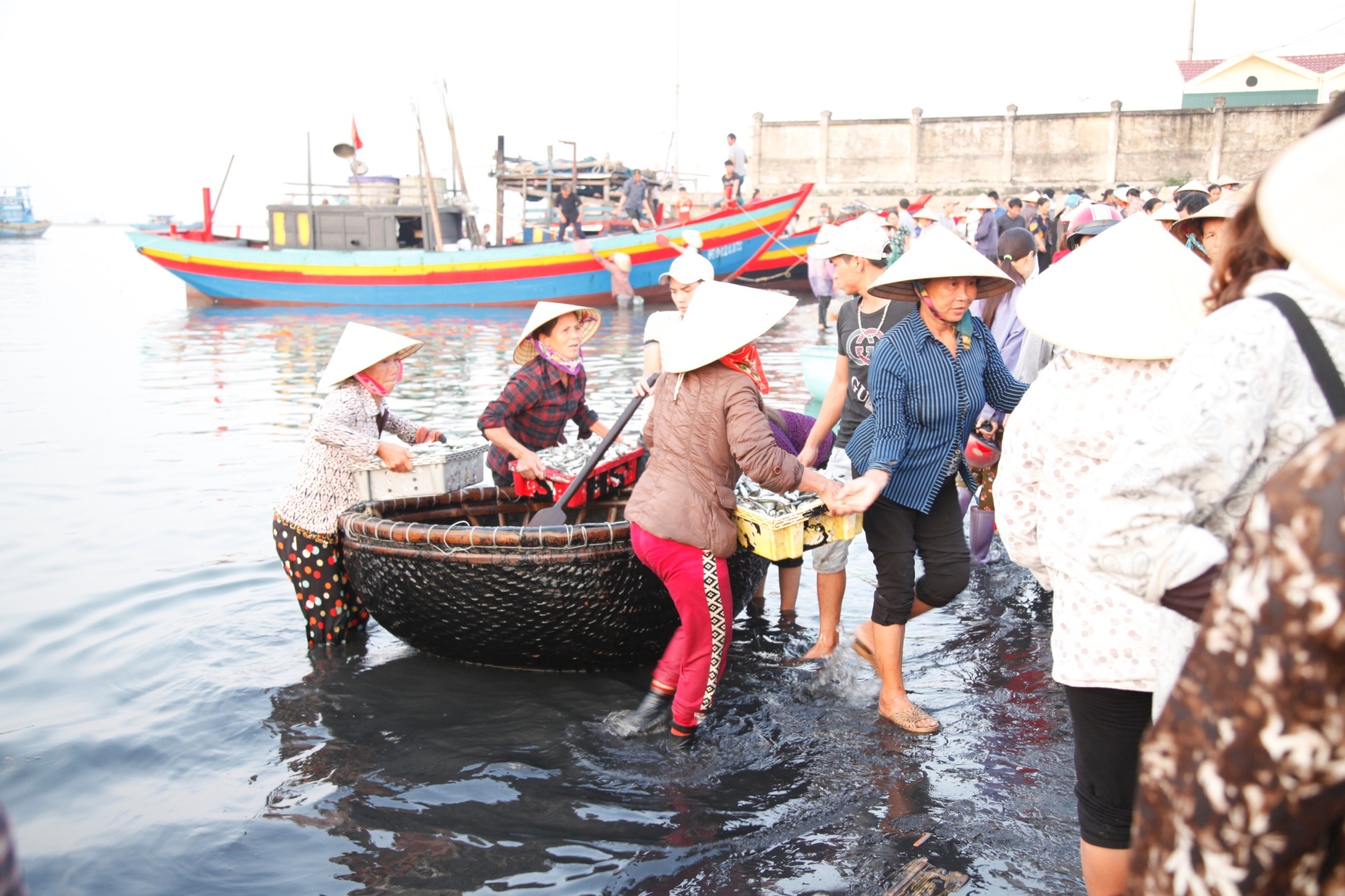 Ca bien Ha Tinh an toan anh 3