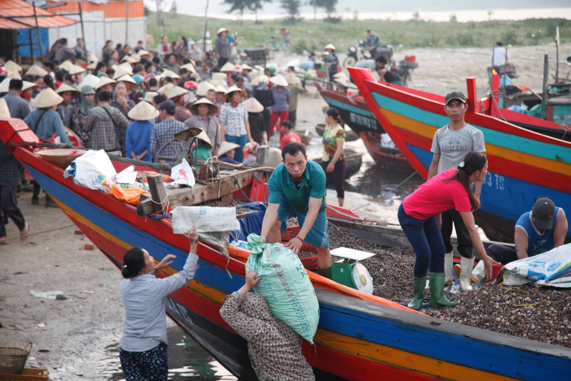 Ca bien Ha Tinh an toan anh 5