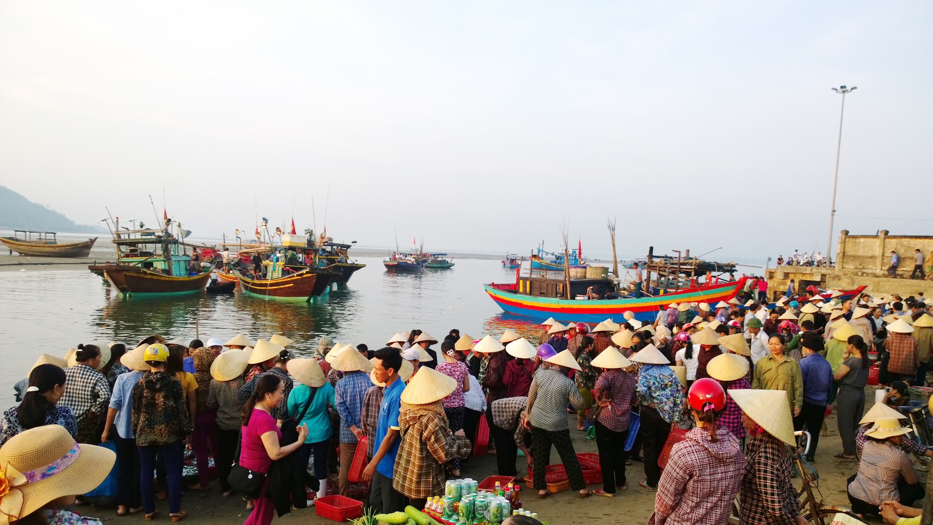 Cá biển Hà Tĩnh an toàn ảnh 1 Ca bien Ha Tinh an toan anh 1