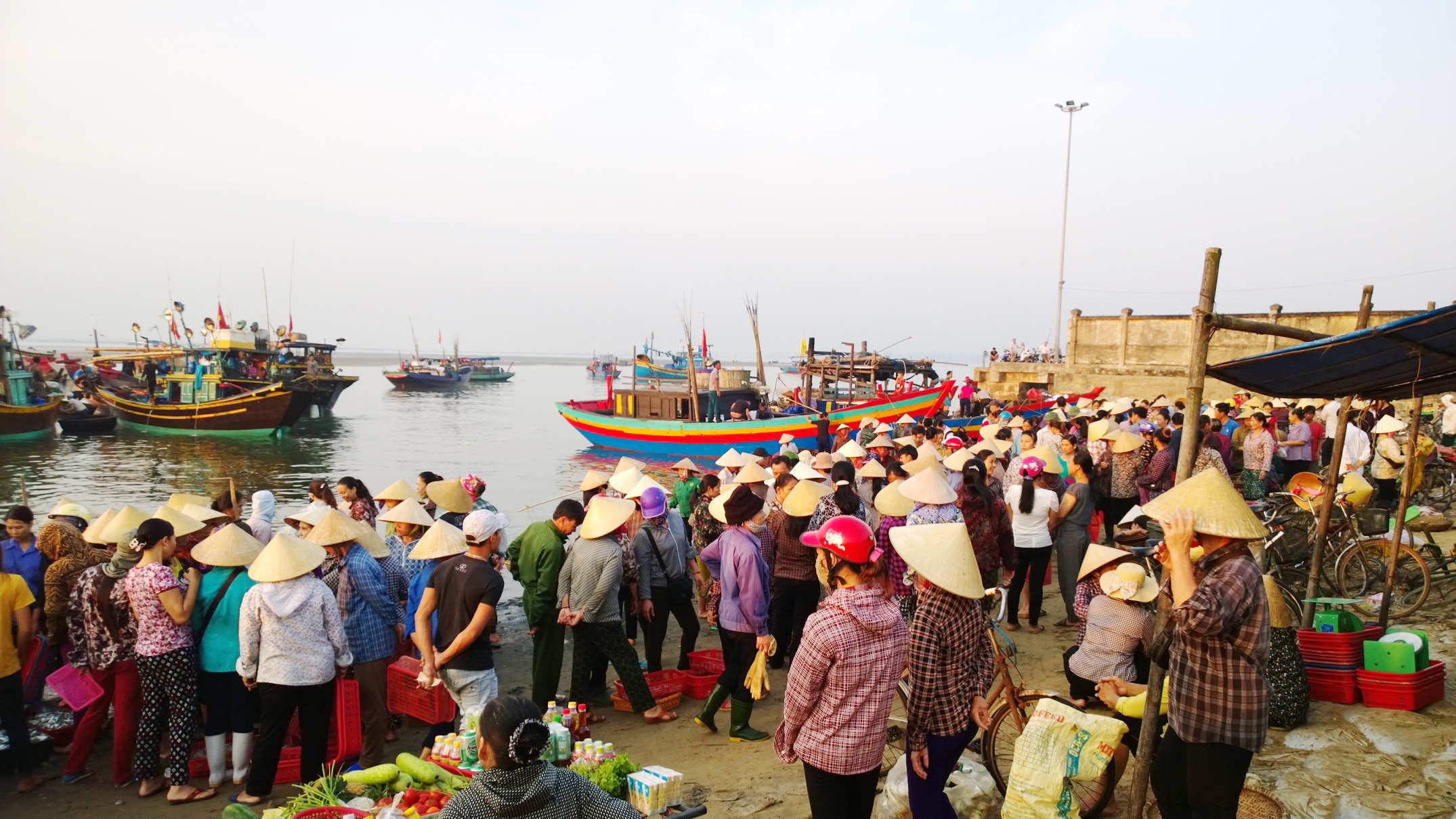 Cho ca Ha Tinh tap nap tro lai, gia tang vot hinh anh