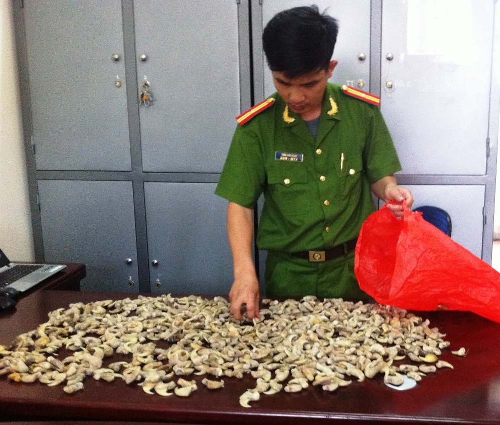 Tang tru mong vuot dong vat quy hiem anh 1