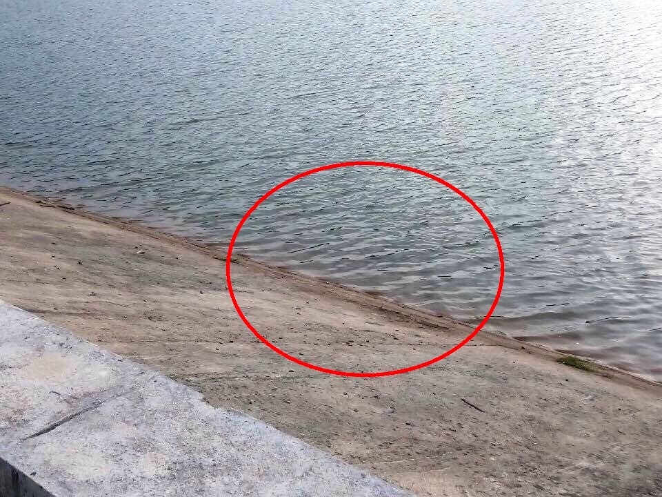 Truot chan nga, be gai mo coi chet duoi thuong tam hinh anh