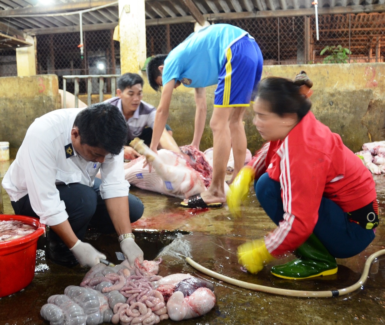 Nghe An phat hien chat tao tac trong lon anh 1