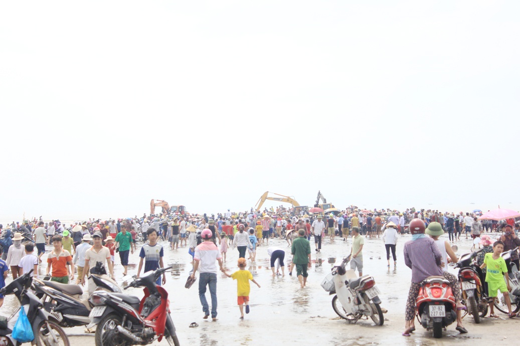 Giai cuu ca voi o Nghe An anh 11