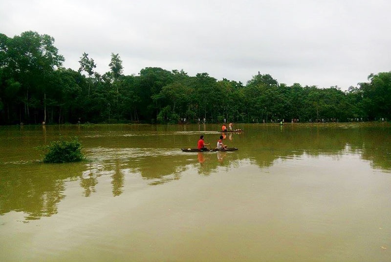 Hai mo chau chet duoi ho nuoc hinh anh