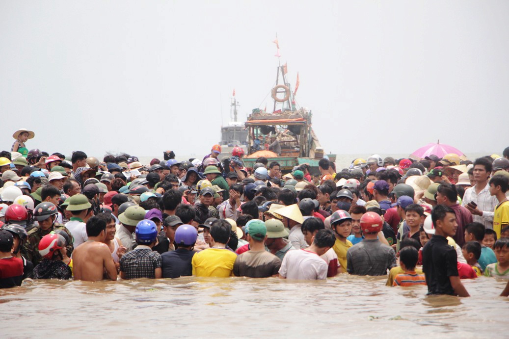 Giai cuu ca voi o Nghe An anh 12