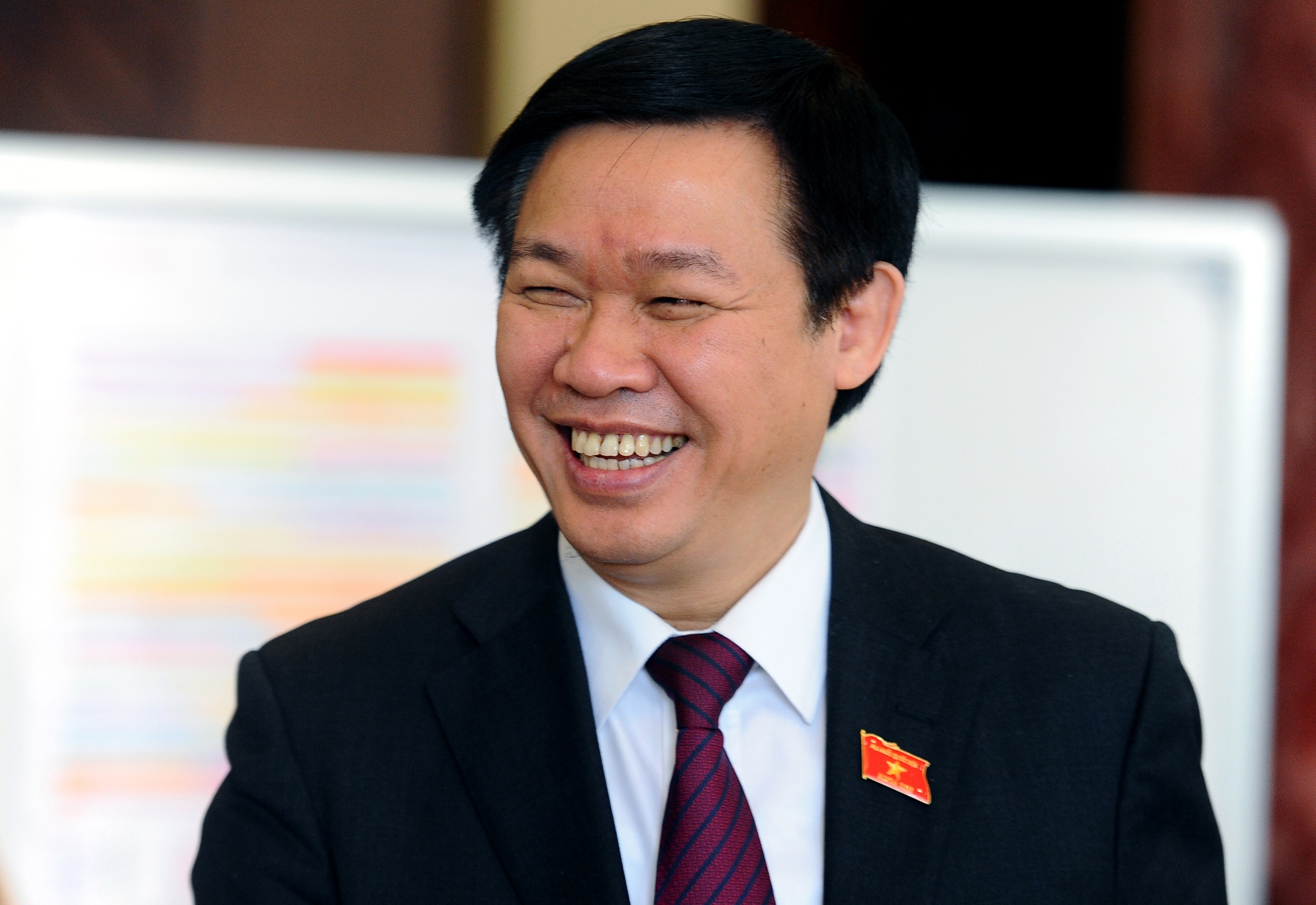 Vo chong Pho thu tuong Vuong Dinh Hue trung cu dai bieu QH hinh anh