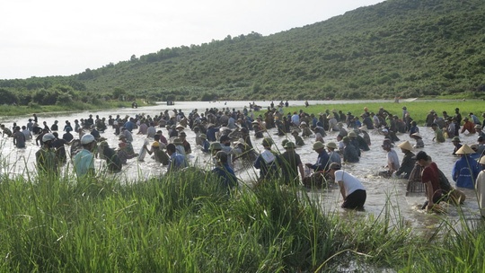 Le hoi bat ca cau may anh 1