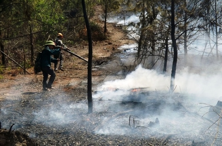 Chay rung o Nghe An anh 2