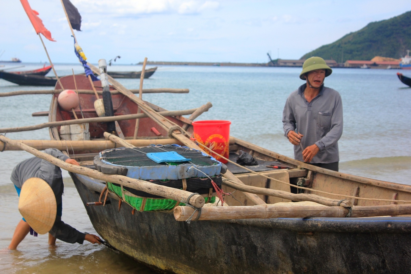Cong bo nguyen nhan ca chet: 'Som khoi phuc moi truong bien' hinh anh