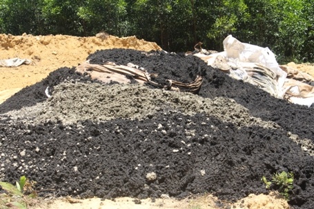 Chu tich Ha Tinh yeu cau kiem tra vu Formosa chon chat thai hinh anh