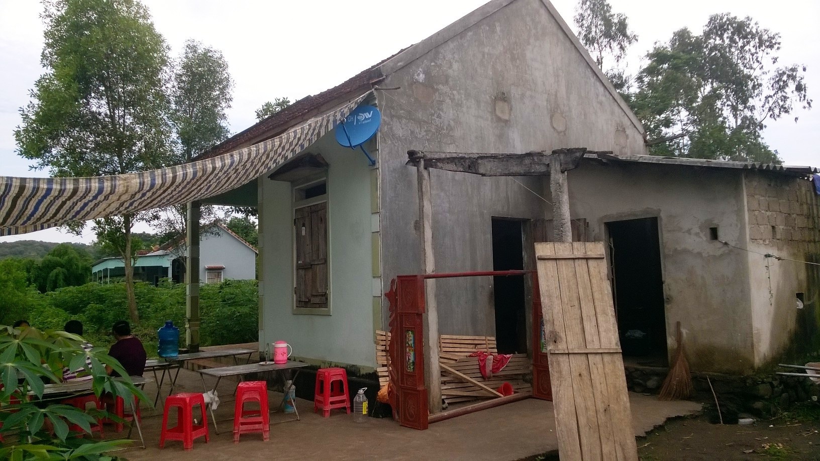 Nghich tu dung dieu cay danh me tu vong hinh anh