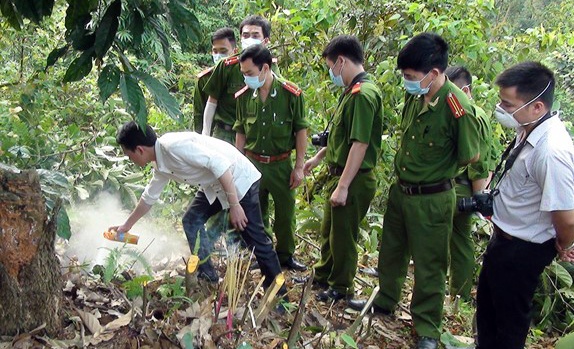 Dan ruot duoi, vay danh nguoi dan ong la mat tu vong hinh anh