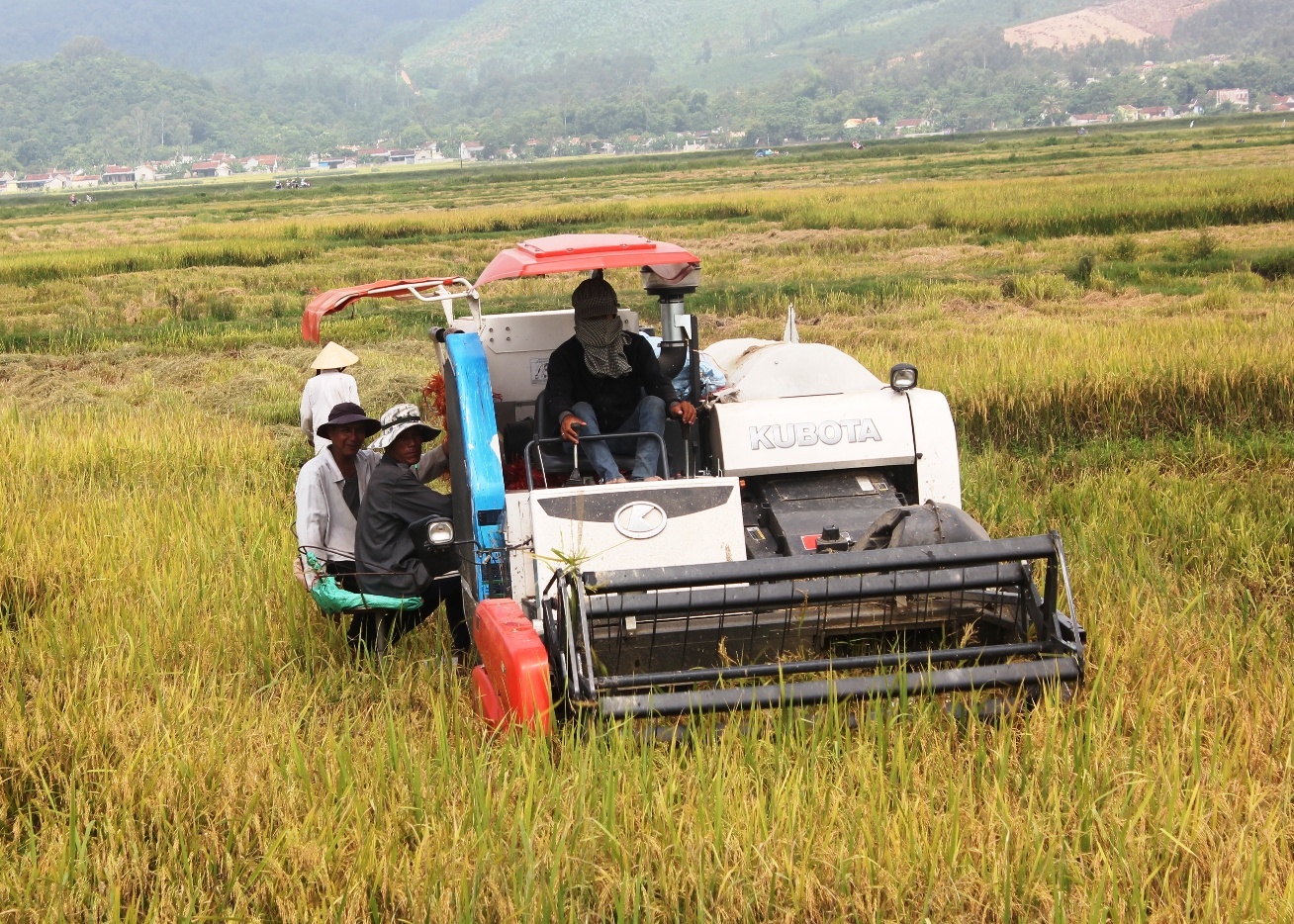 Xa thu 2 trieu dong/may gat lua de ngan chan bao ke hinh anh
