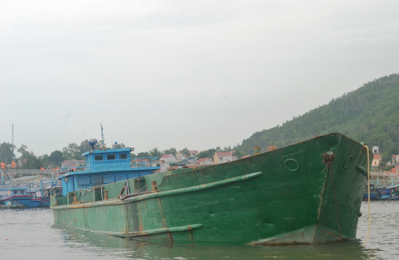 Do chat thai ra bien anh 1