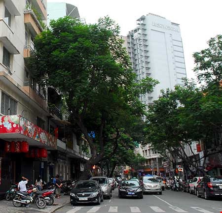 Chỗ đậu xe ôtô ảnh 1 Cho dau xe oto anh 1