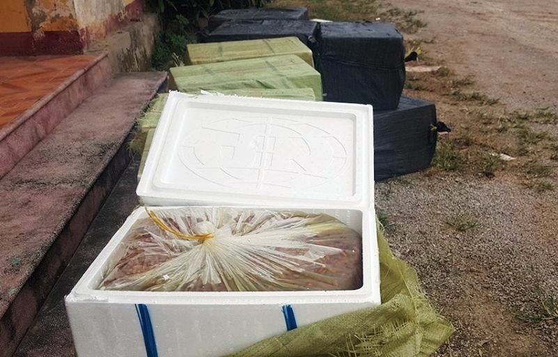 Hon 1 tan nhong boc mui hoi thoi tren xe khach hinh anh