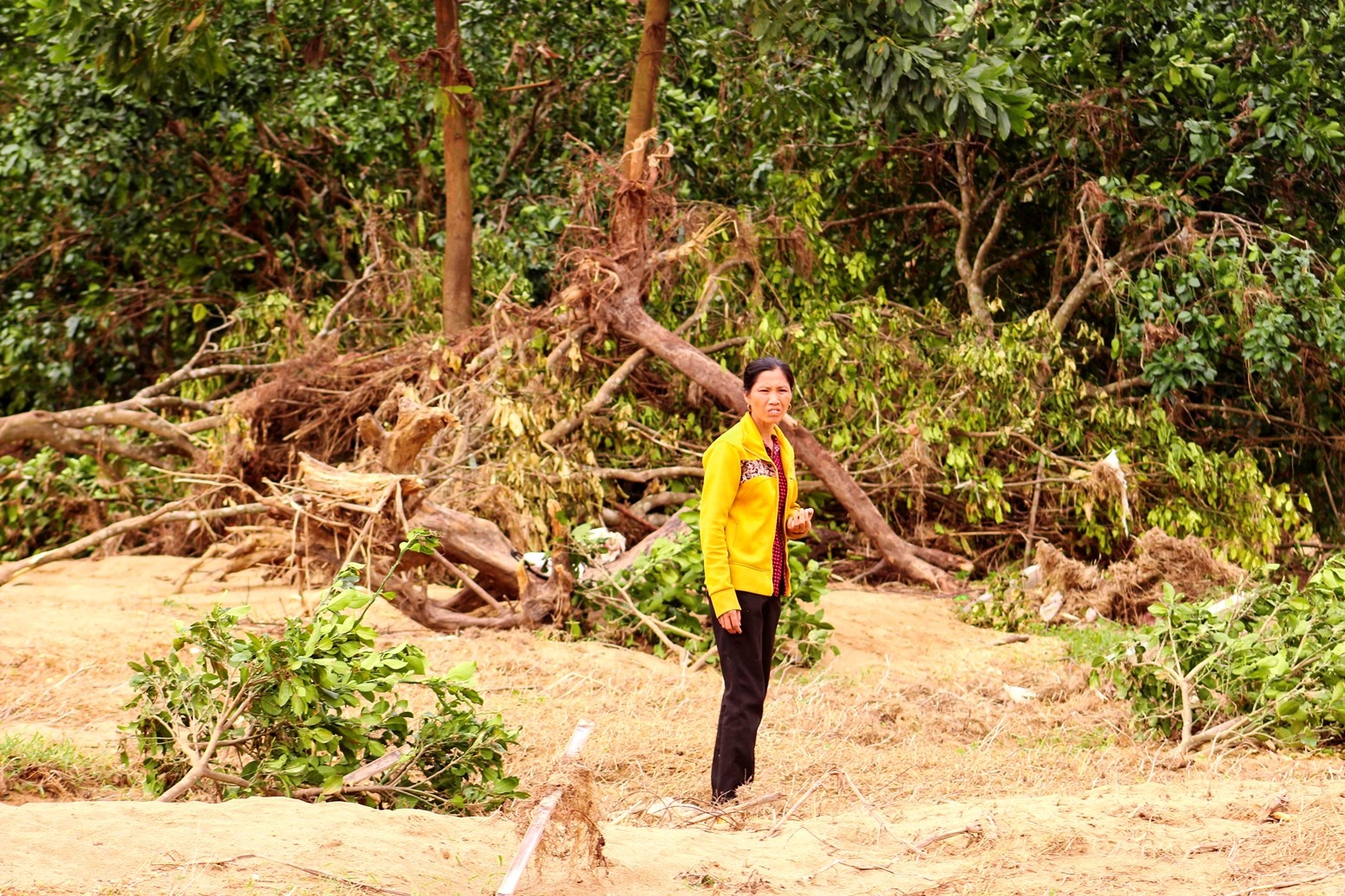 Buoi Phuc Trach bat goc hang loat sau su anh 3