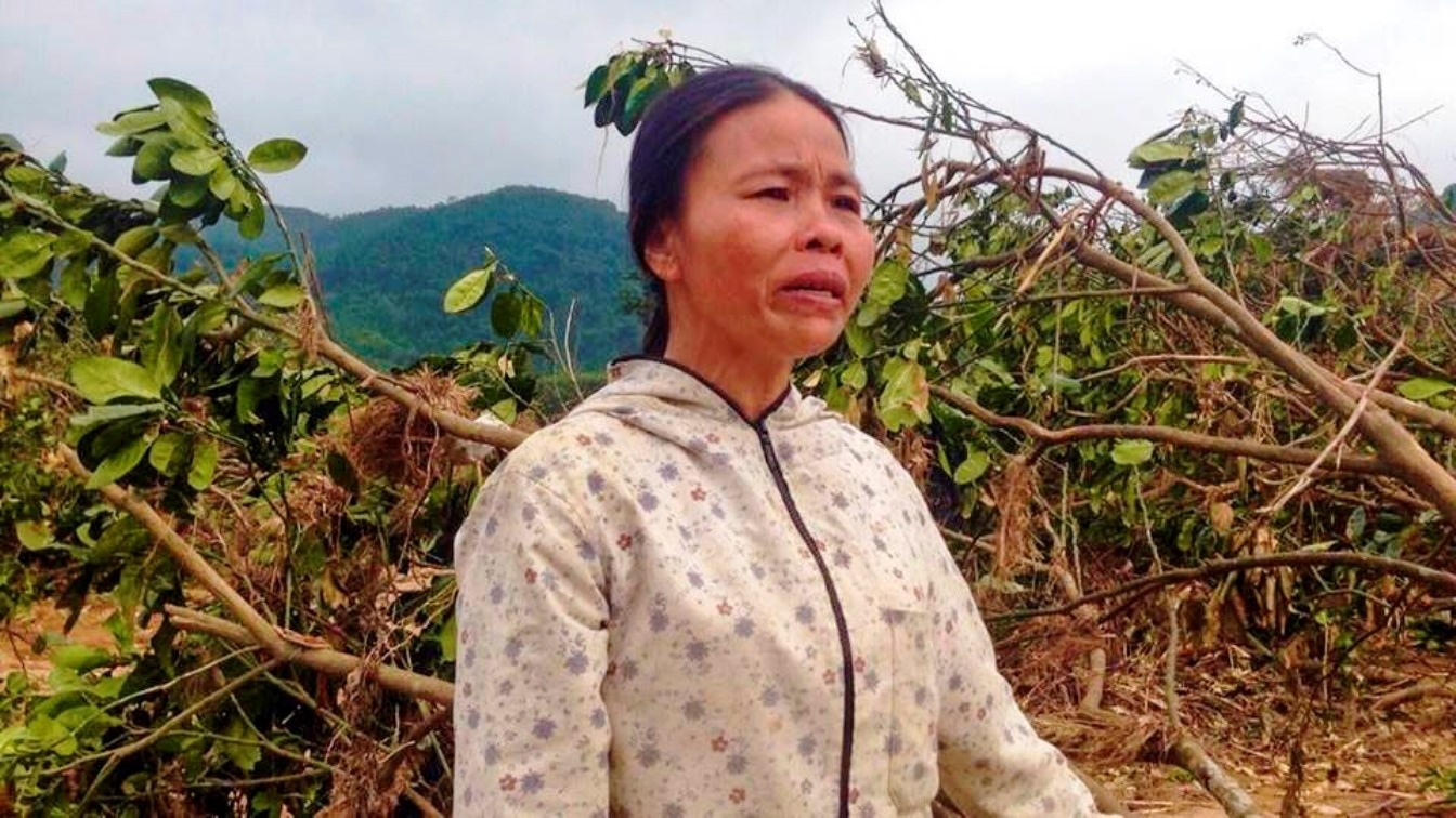 Dan khoc rong nhin hang tram ha buoi bat goc sau lu hinh anh