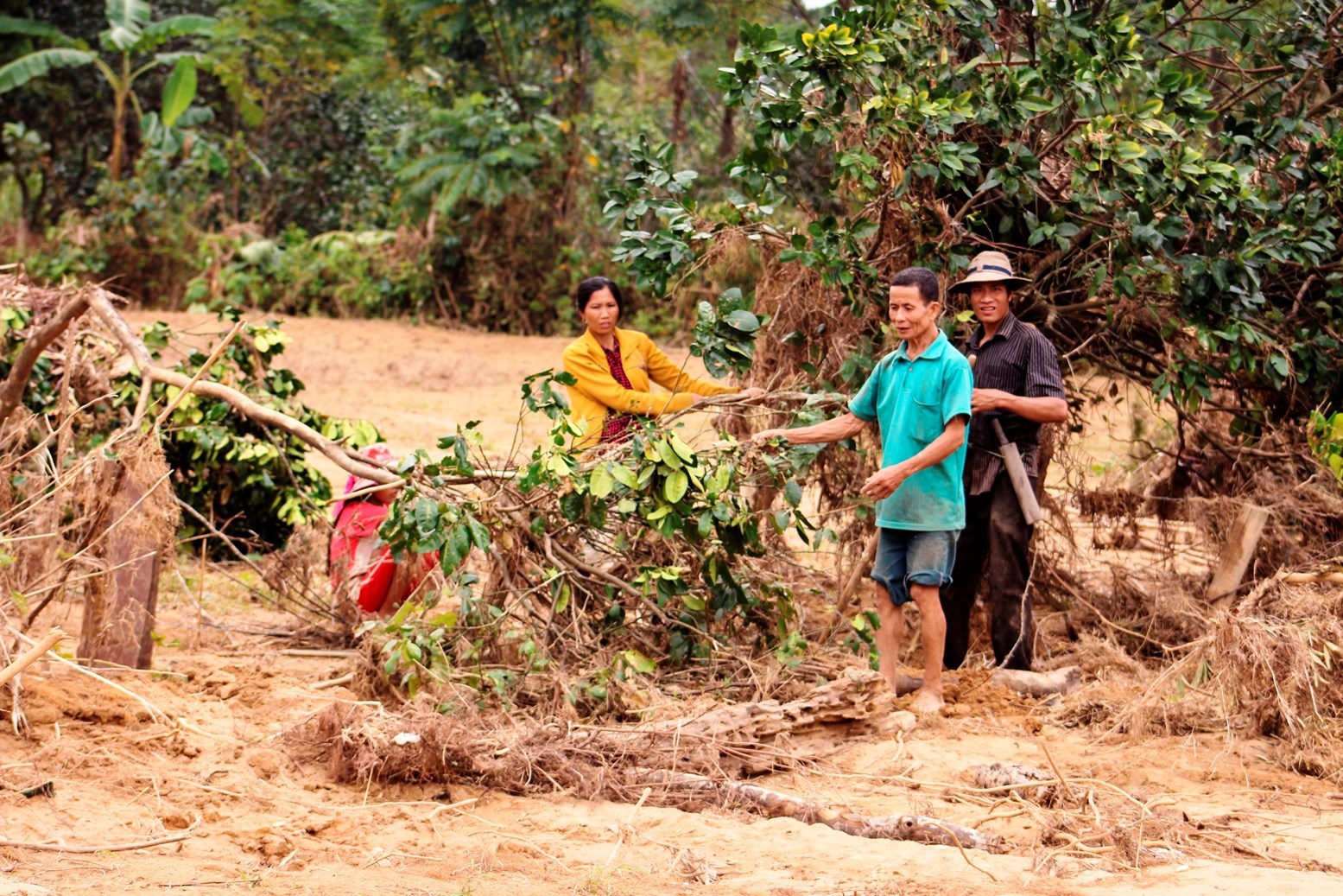 Buoi Phuc Trach bat goc hang loat sau su anh 7