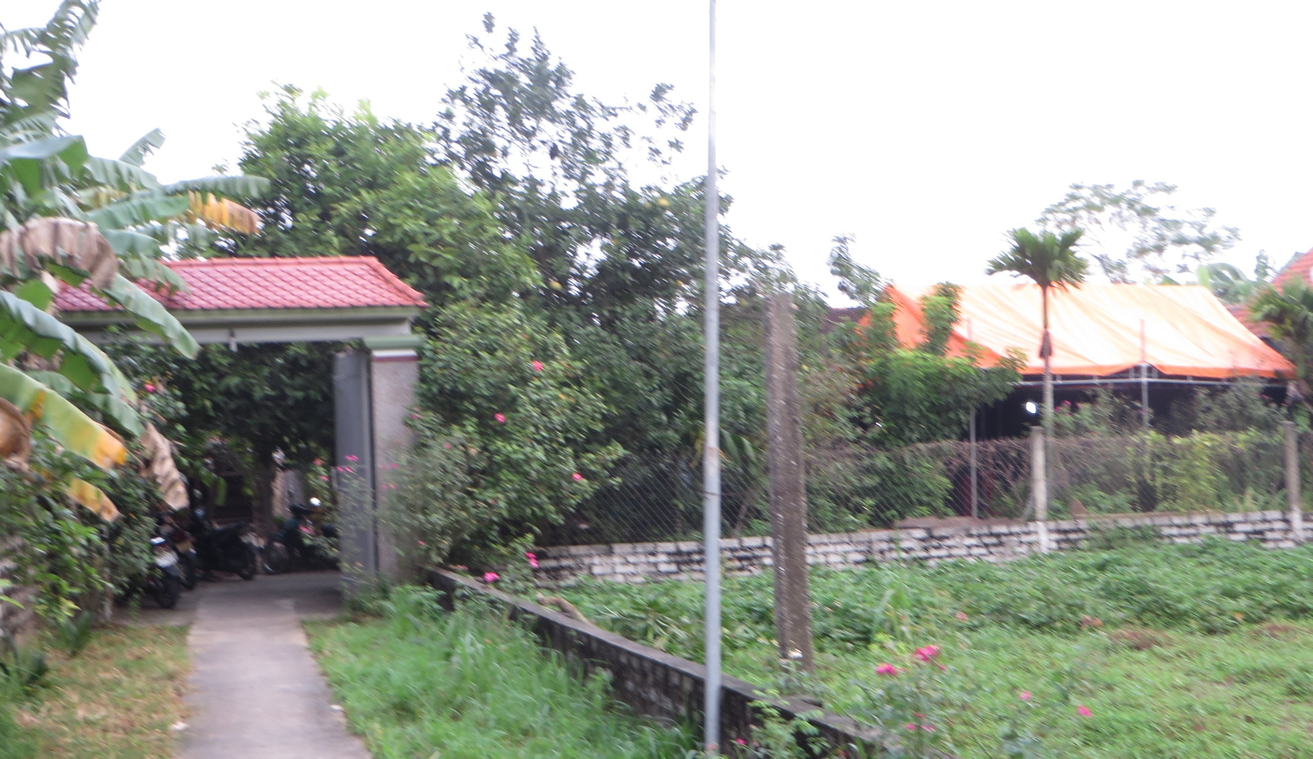 Co giao tieu hoc tu tu tai nha rieng hinh anh