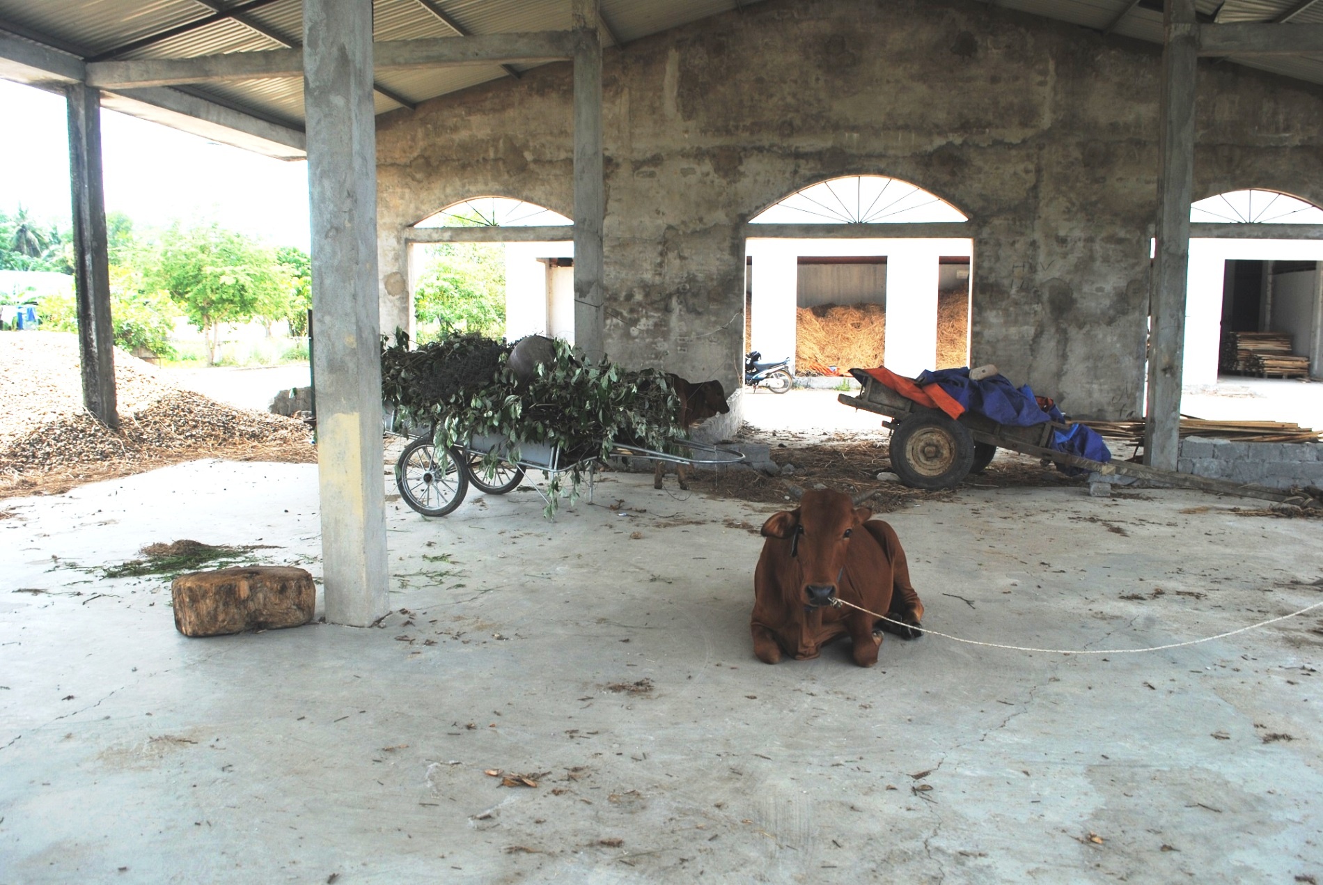 trung tam thuong mai bo hoang anh 4
