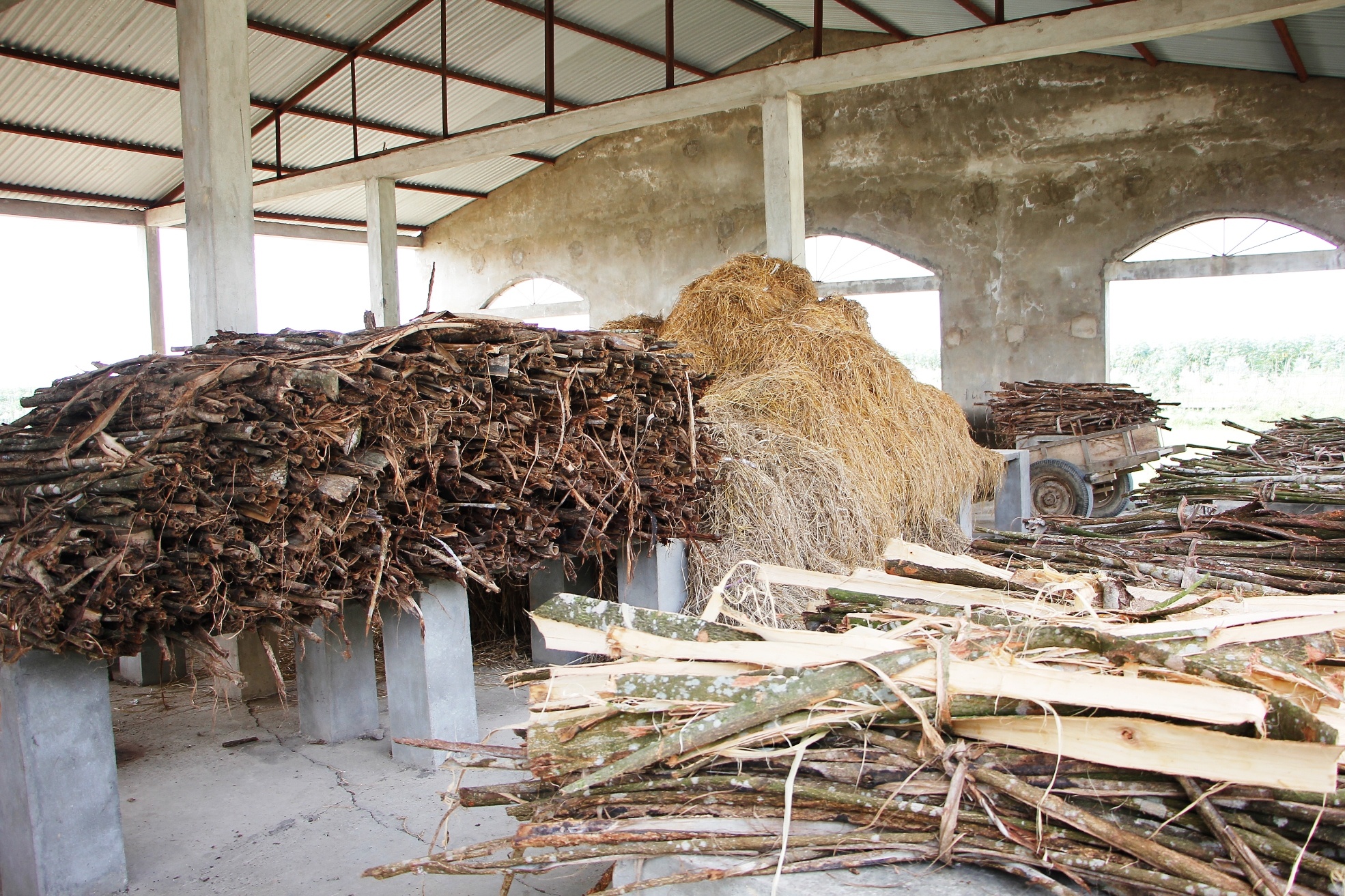 trung tam thuong mai bo hoang anh 6